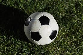 体育教育培训应用